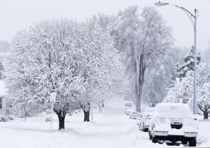 Snowday