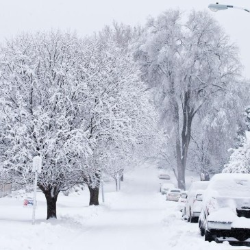 Snow Day – Closed Tuesday Feb 2nd