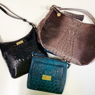 Brahmin Collection